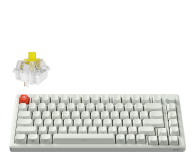 SMX Kishu Honey Switch Lumos white SMXG050 - 1417238 - zdjęcie 8